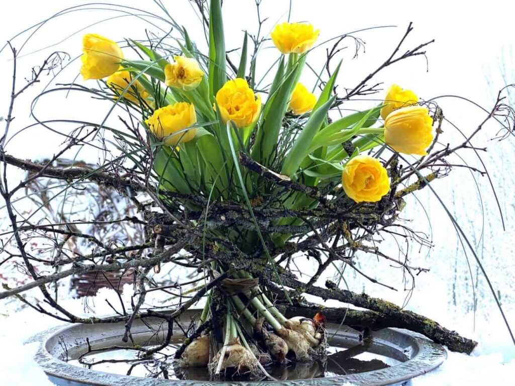 1×1 der Floristik – Onlinekurs